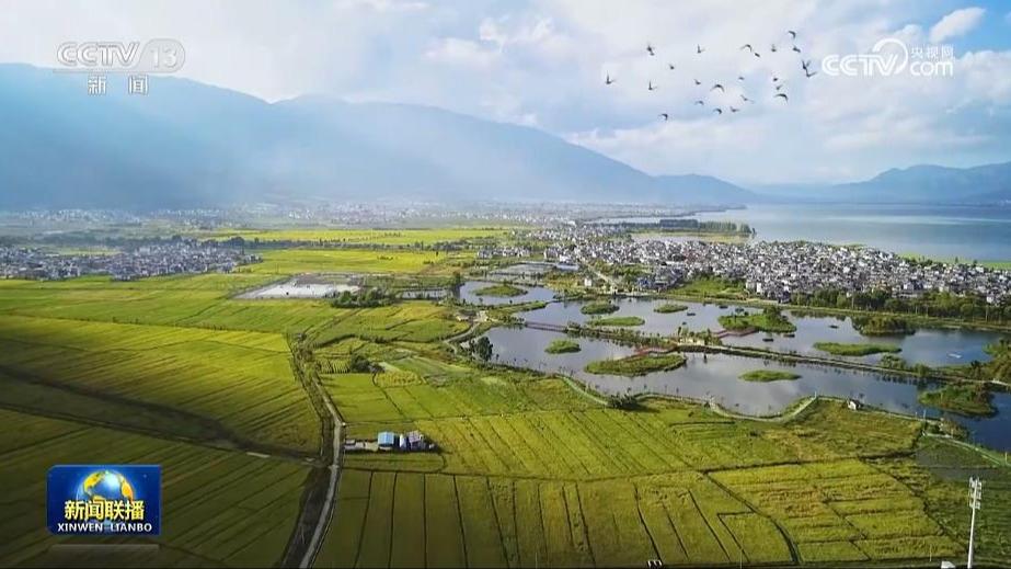 【以中国式现代化全面推进中华民族伟大复兴——习近平总书记今年以来治国理政纪实】推进人与自然和谐共生 绘出美丽中国更新画卷