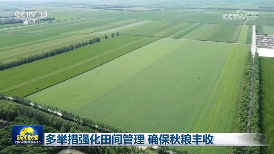 多举措强化田间管理 确保秋粮丰收