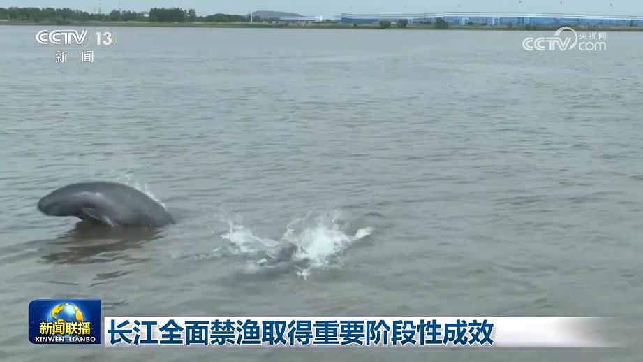 长江全面禁渔取得重要阶段性成效