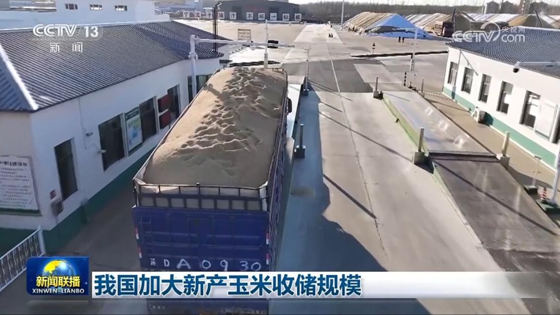 我国加大新产玉米收储规模