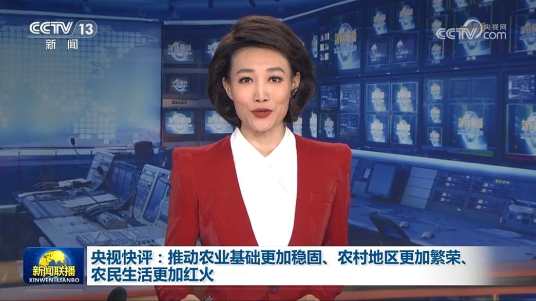 央视快评：推动农业基础更加稳固、农村地区更加繁荣、农民生活更加红火