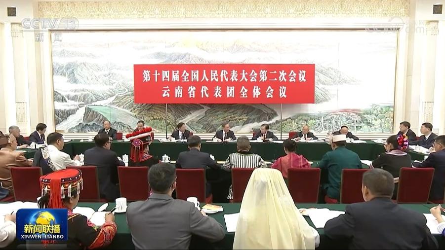 李强参加云南代表团审议