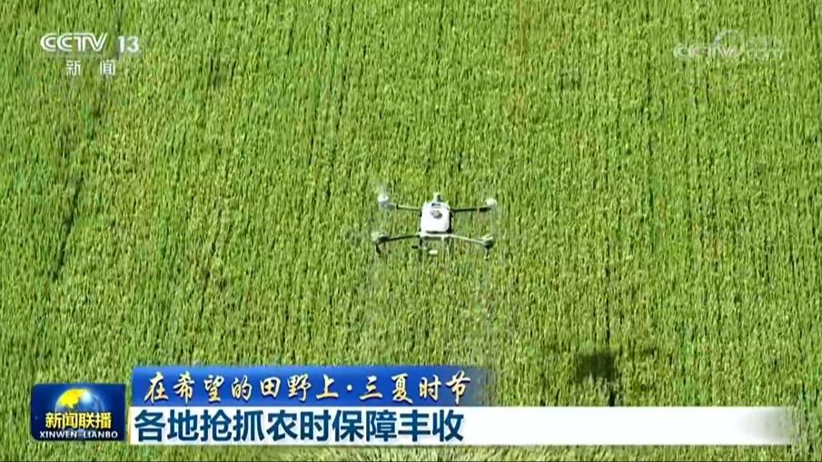 【在希望的田野上·三夏时节】各地抢抓农时保障丰收