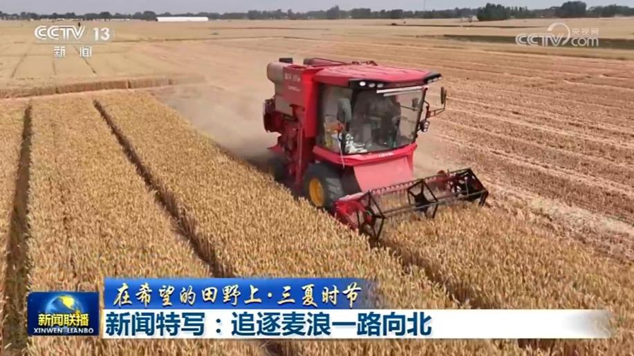 【在希望的田野上·三夏时节】新闻特写：追逐麦浪一路向北