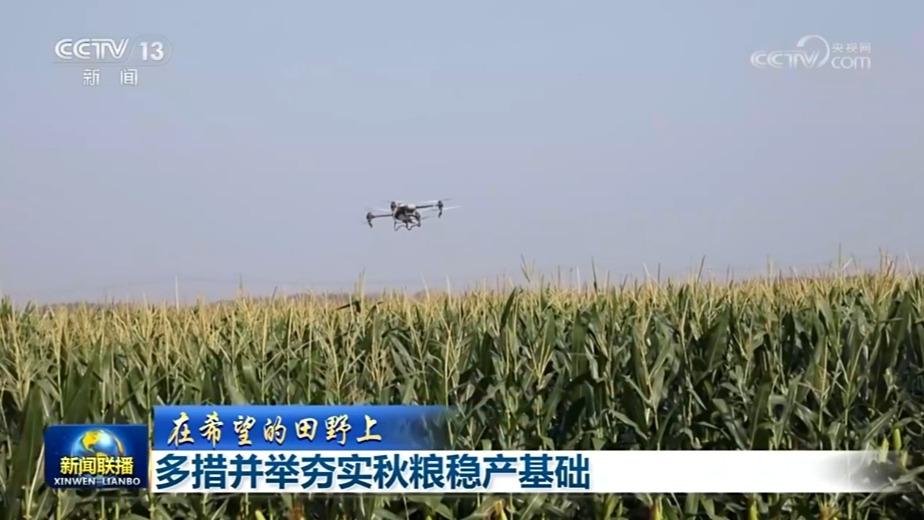 【在希望的田野上】多措并举夯实秋粮稳产基础