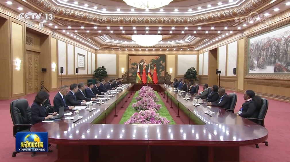 习近平同津巴布韦总统会谈