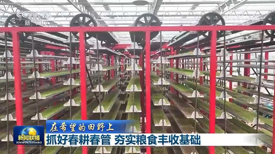 【在希望的田野上】抓好春耕春管 夯实粮食丰收基础