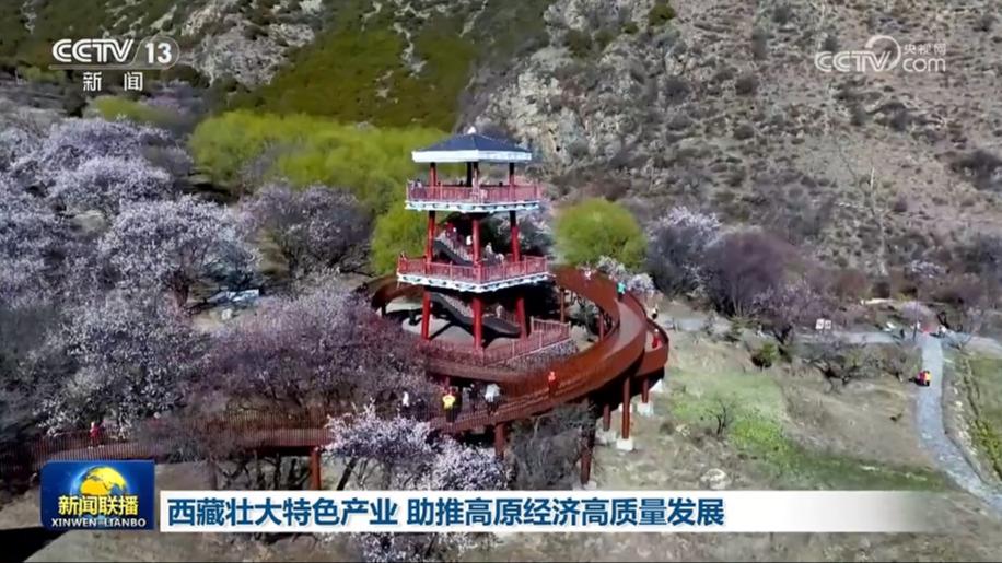 西藏壮大特色产业 助推高原经济高质量发展