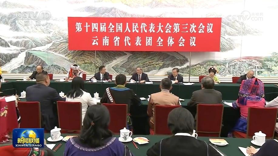 李强参加云南代表团审议