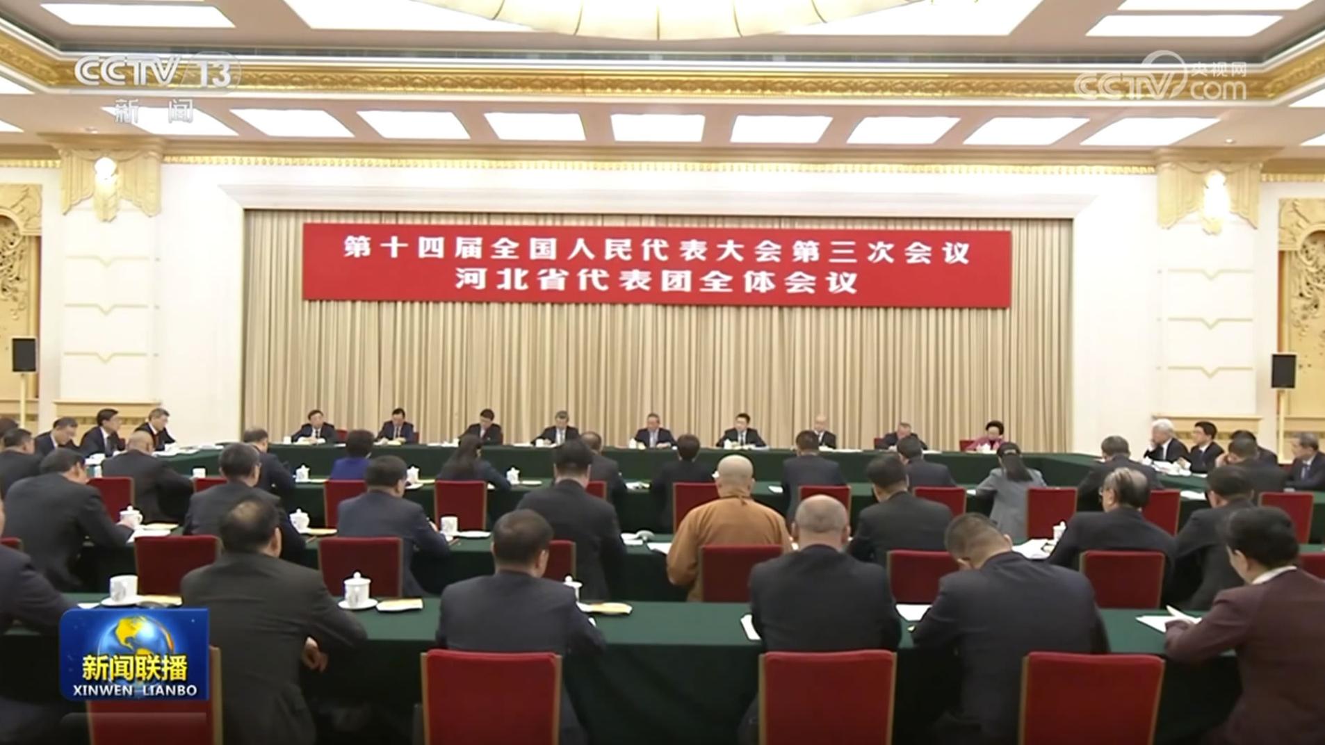 李强参加河北代表团审议