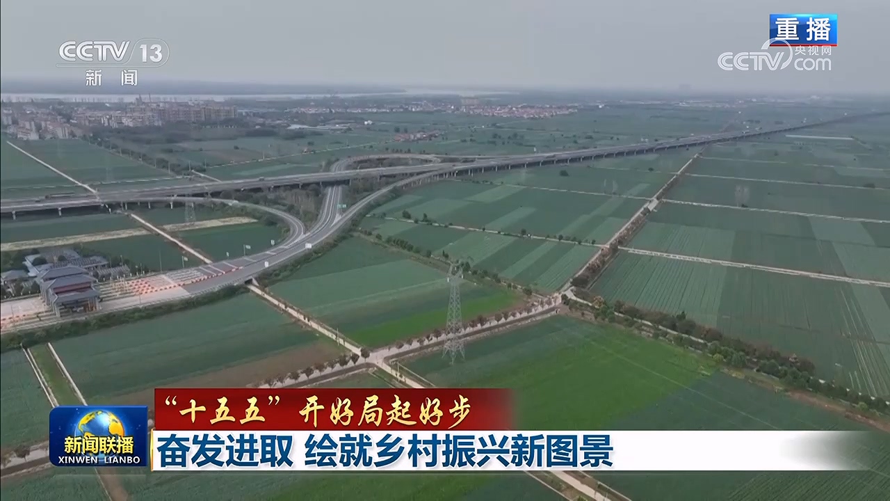 【“十五五”开好局起好步】奋发进取 绘就乡村振兴新图景