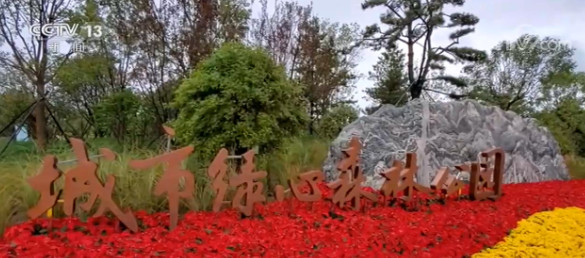 中秋国庆假期明日开启 旅游城市绿心森林公园开园免费开放 新闻频道 央视网 Cctv Com