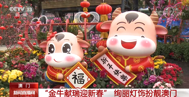 澳门"金牛献瑞迎新春 绚丽灯饰扮靓澳门