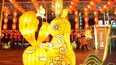 恒河故事系列 裸净之国《行者》5