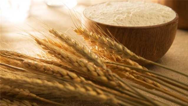 气温升高2℃对小麦产量和价格有何影响？