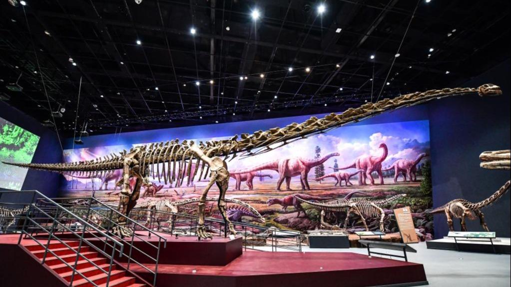 科研人员帮助亚洲最大的完整恐龙化石“长”了2米