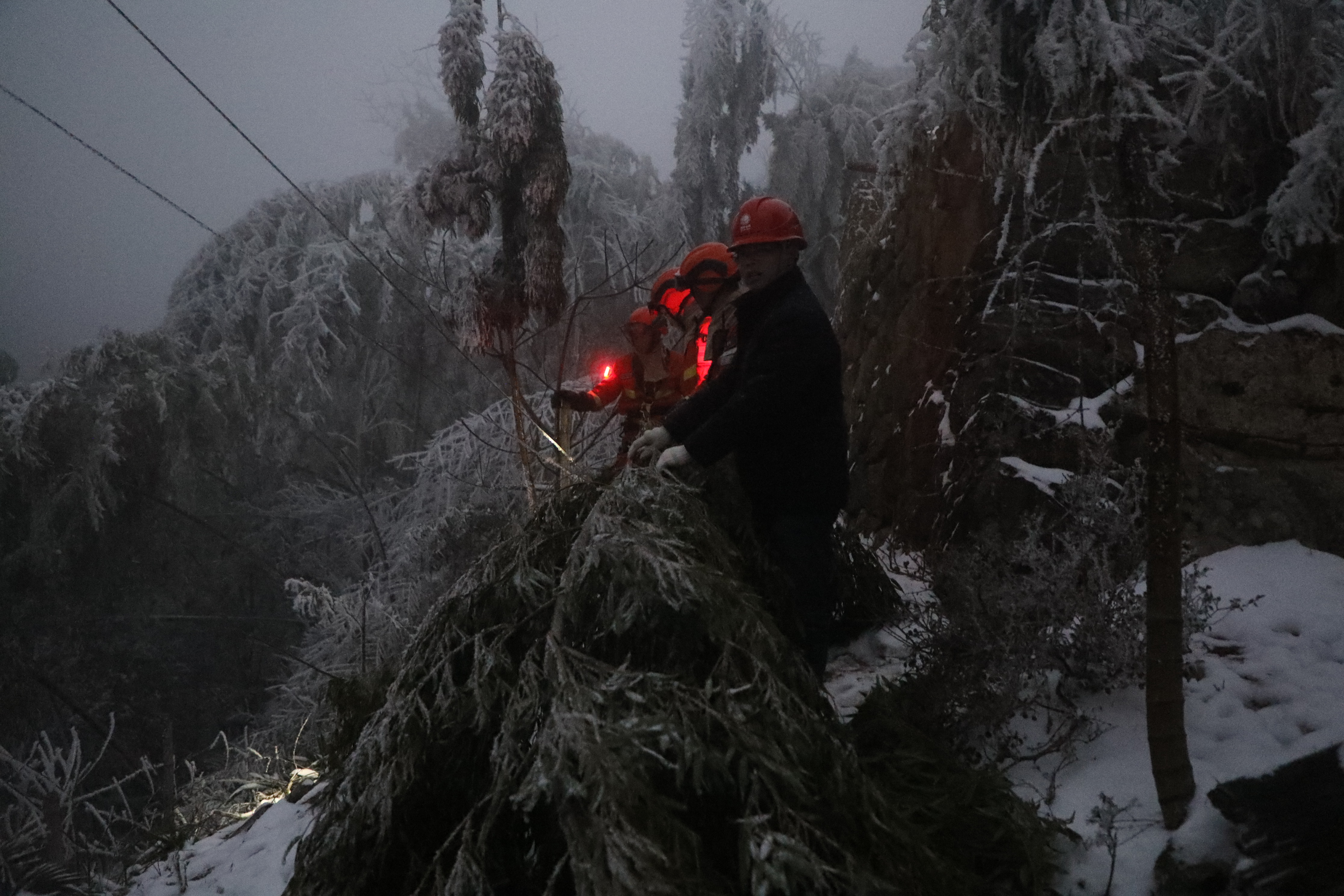 消防员协同电力工作人员对清理后的倒木进行转移王治康摄