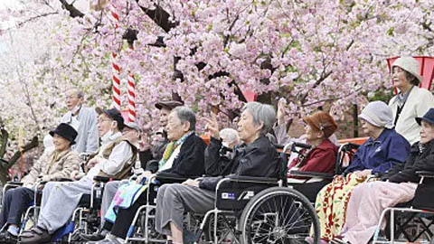 日本每年约6.8万老人在住所孤独离世