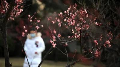 湖南江西浙江福建等地有中雨 青藏高原西北地区东部等地有雨雪