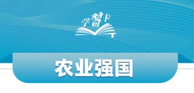 学习卡丨总书记谈“三农”，强调这些关键词