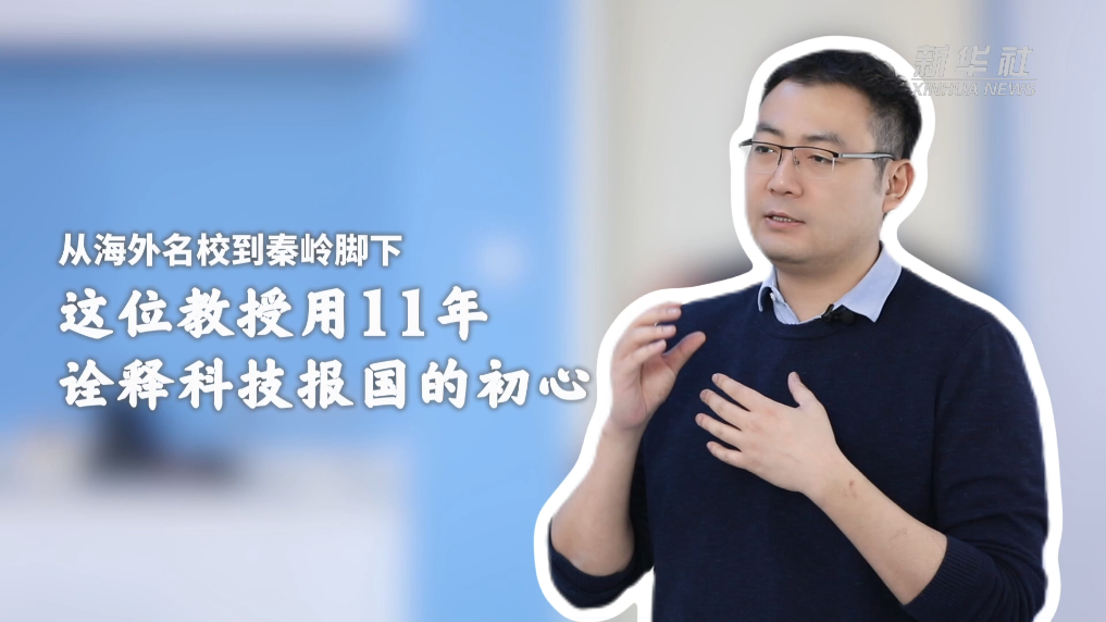 暴利蛋白代言明星诱惑推广 贵企业州百综中国胶原网合灵邀风尚