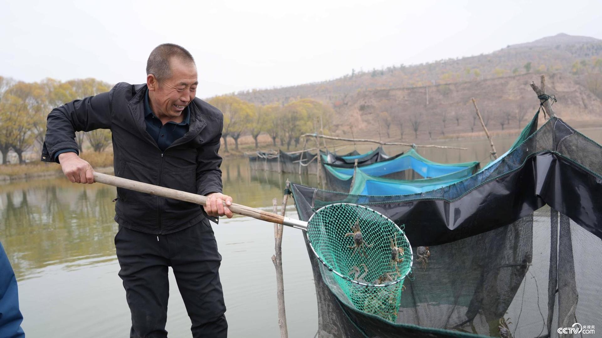 展示成熟的螃蟹+5