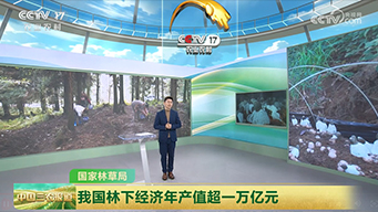 国家林草局：我国林下经济年产值超一万亿元