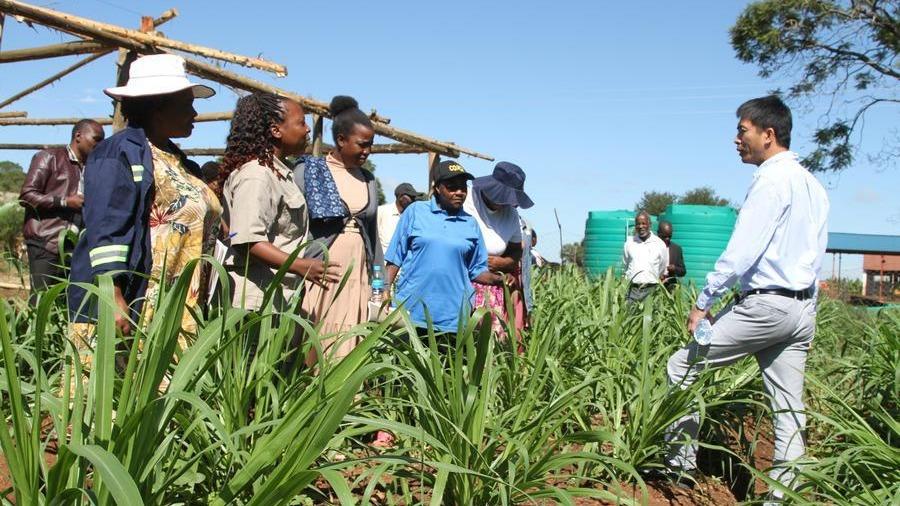 Xi's message to Zimbabwean veterans highlights enduring China-Africa friendship