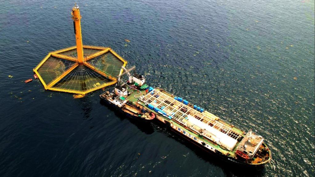 一所学校，这样融入城市发展