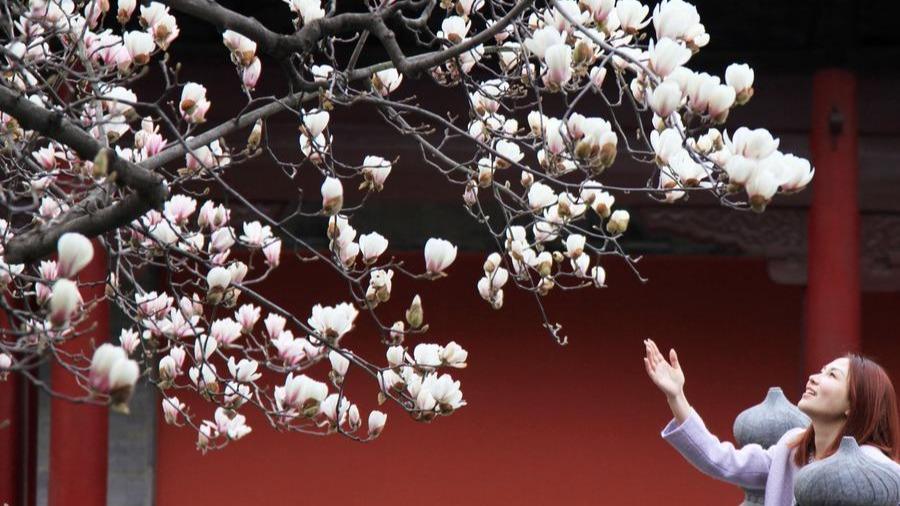 Spring greets China with blooming nature