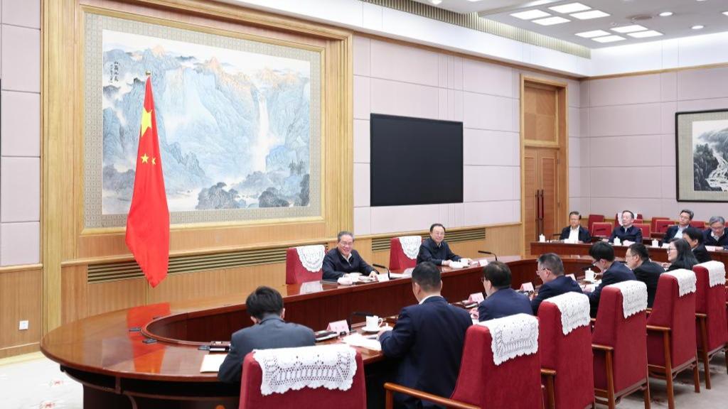 Chinese premier chairs meeting on economic situation