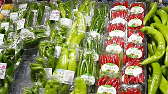 蔬菜供应充足 “冷凉菜”成夏日爆款