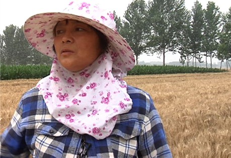 麦客李杰