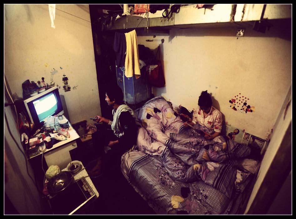 从地下梦想云端鼠居生活深度调查