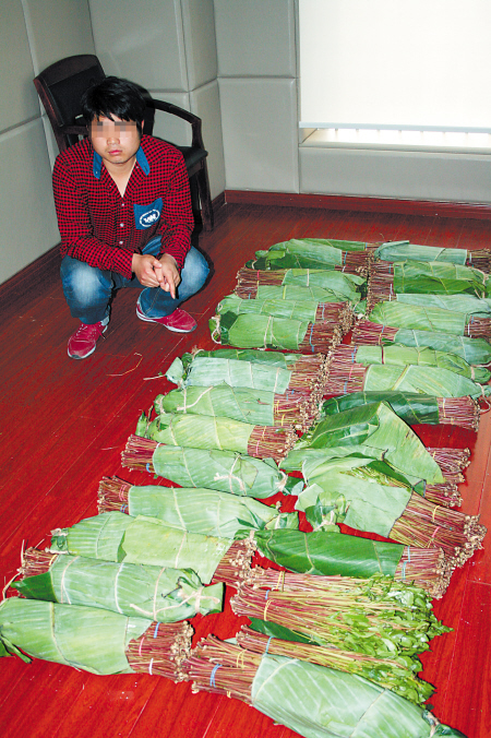 新鲜苋菜实为毒品长沙海关首次查获毒品恰特草