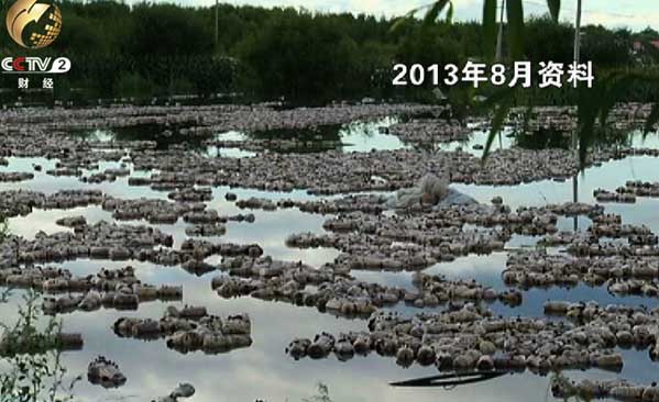 嘉荫县农民的木耳培养袋被洪水冲走