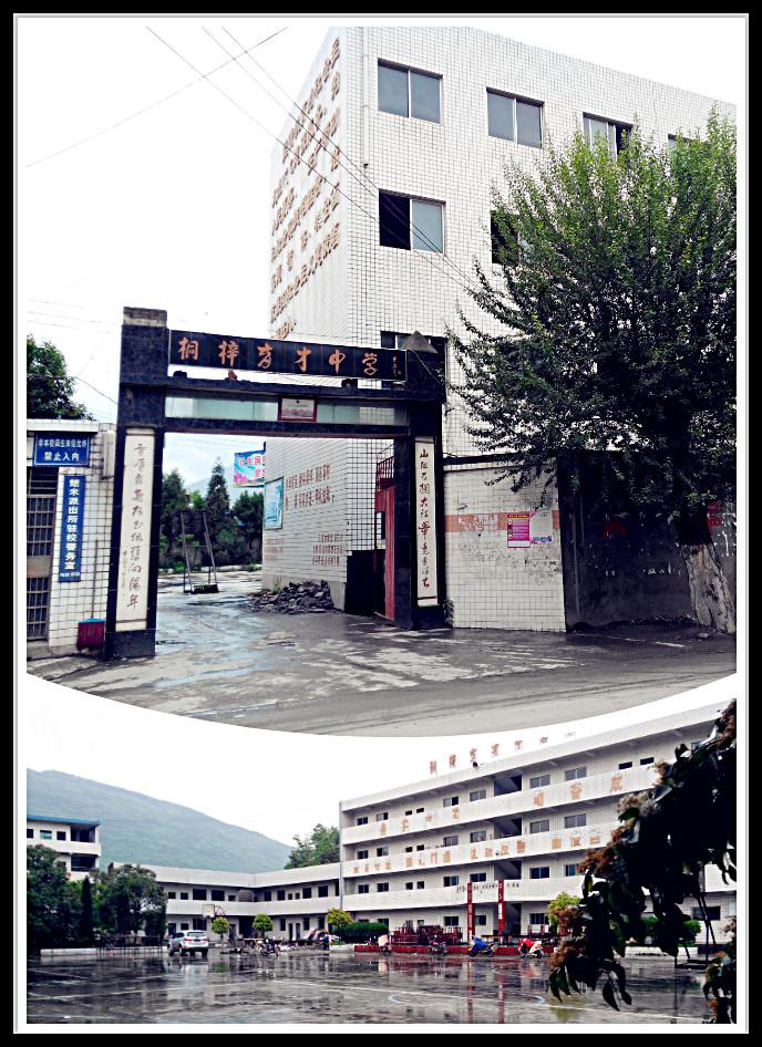 当地居民:学校关闭因&ldquo;钛中毒事件&rdquo;频发