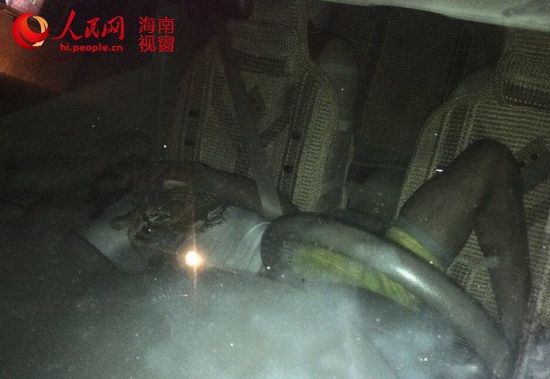 海口街头车内现腐尸 疑看世界杯醉酒窒息死亡