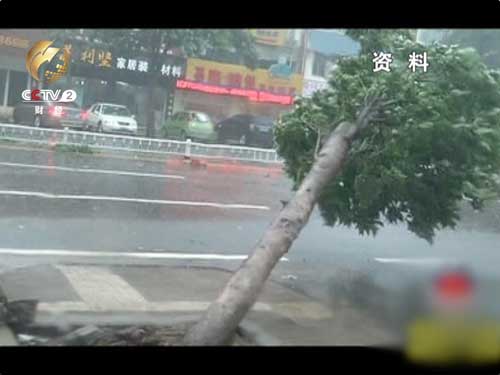强台风对海南当地也造成了严重的破坏和损失