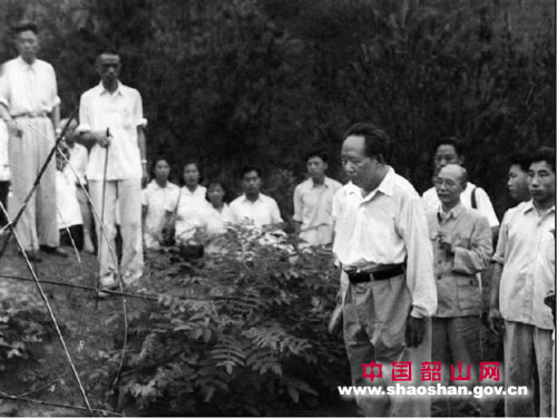 1959年毛主席拜父母坟