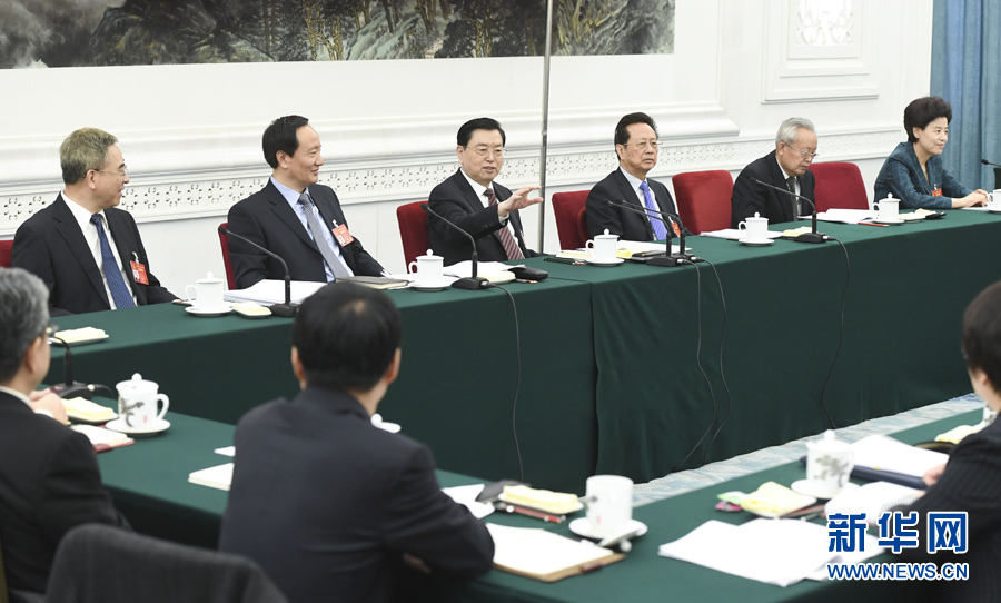 3月10日，中共中央政治局常委、全国人大常委会委员长张德江参加十二届全国人大五次会议宁夏代表团的审议。