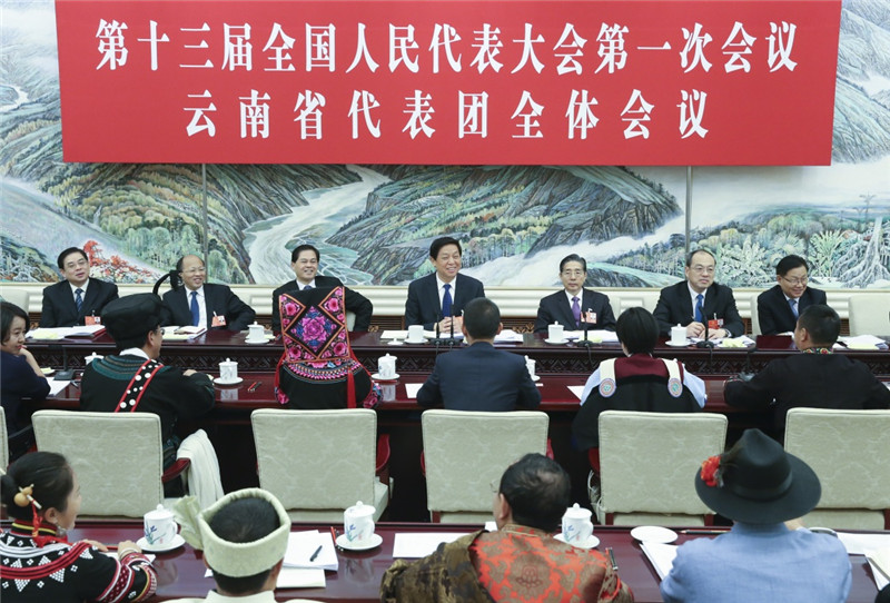 3月10日，中共中央政治局常委栗战书参加十三届全国人大一次会议云南代表团的审议。