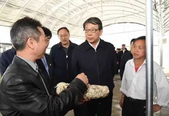 陈希在台江县方召镇考察食用菌棒厂，了解食用菌棒厂生产建设情况。
