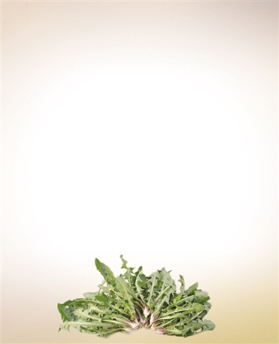 野菜抗癌纯粹是个伪科学命题