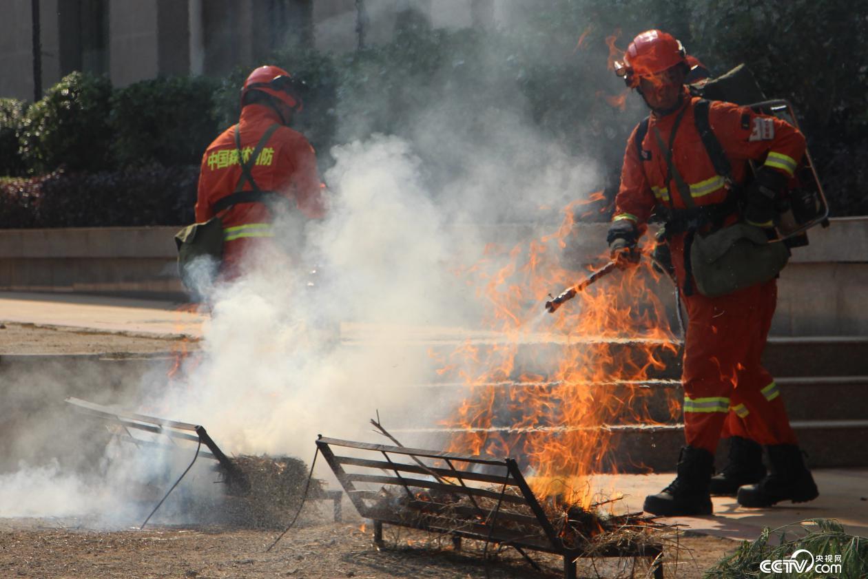 昆明市森林消防支隊消防員在進行日常訓練。（徐輝/攝）