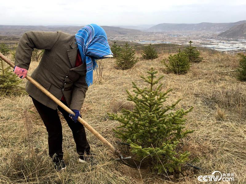 “福州林”为当地农户提供了植树务工的机会。