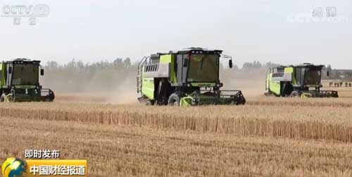 农业农村部：全国将投入64万台联合收割机参与小麦机收