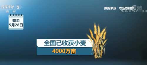 “三夏”机械化升级 全国已收获小麦4000万亩