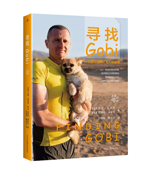 《寻找gobi》善待一只流浪狗之后,他的人生彻底改变