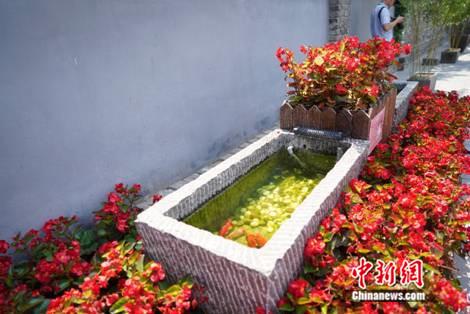 北京老胡同焕发新生机 修缮治理蕴含大智慧